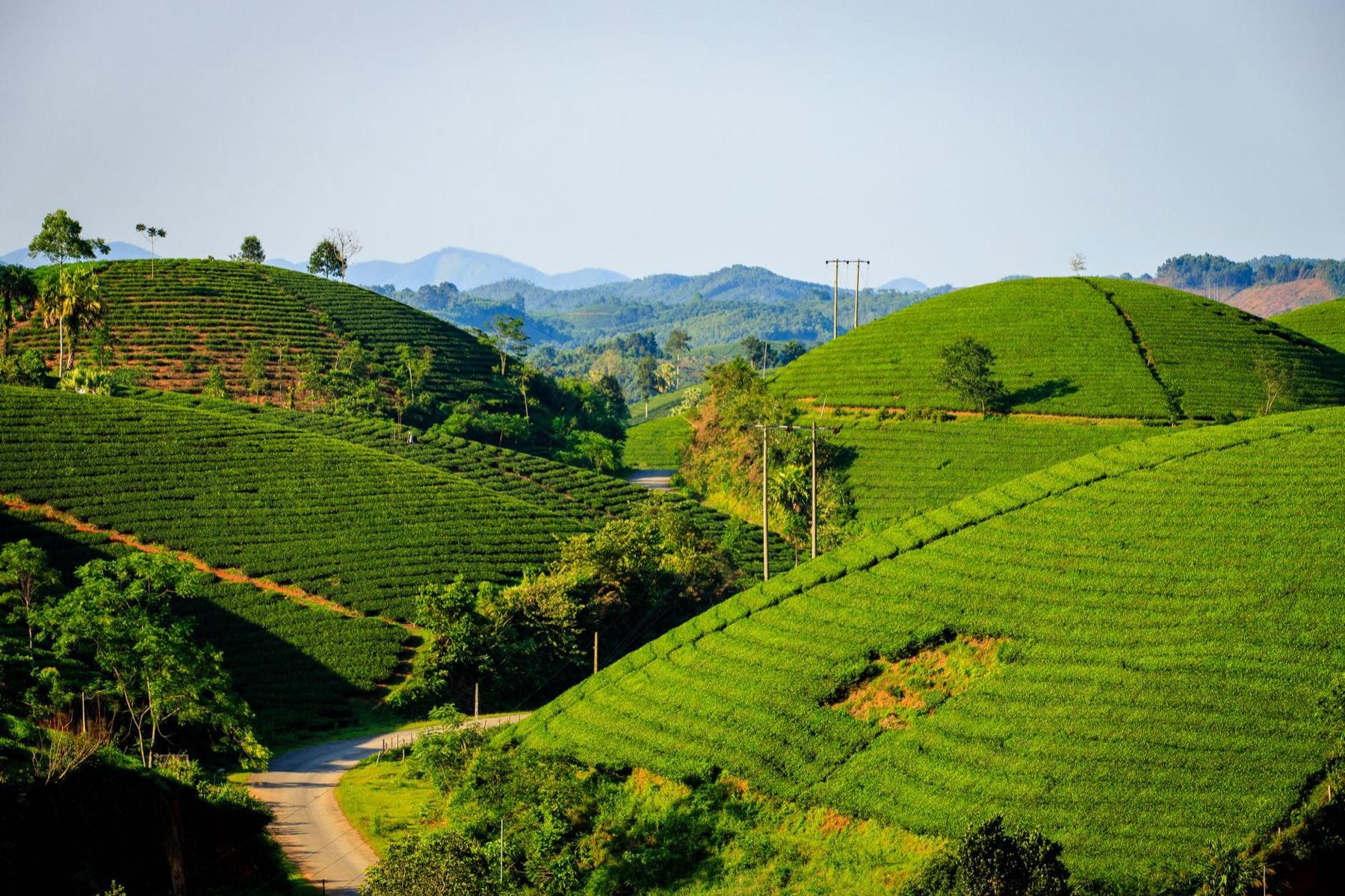 Dien Bien Phu — Getting there & around