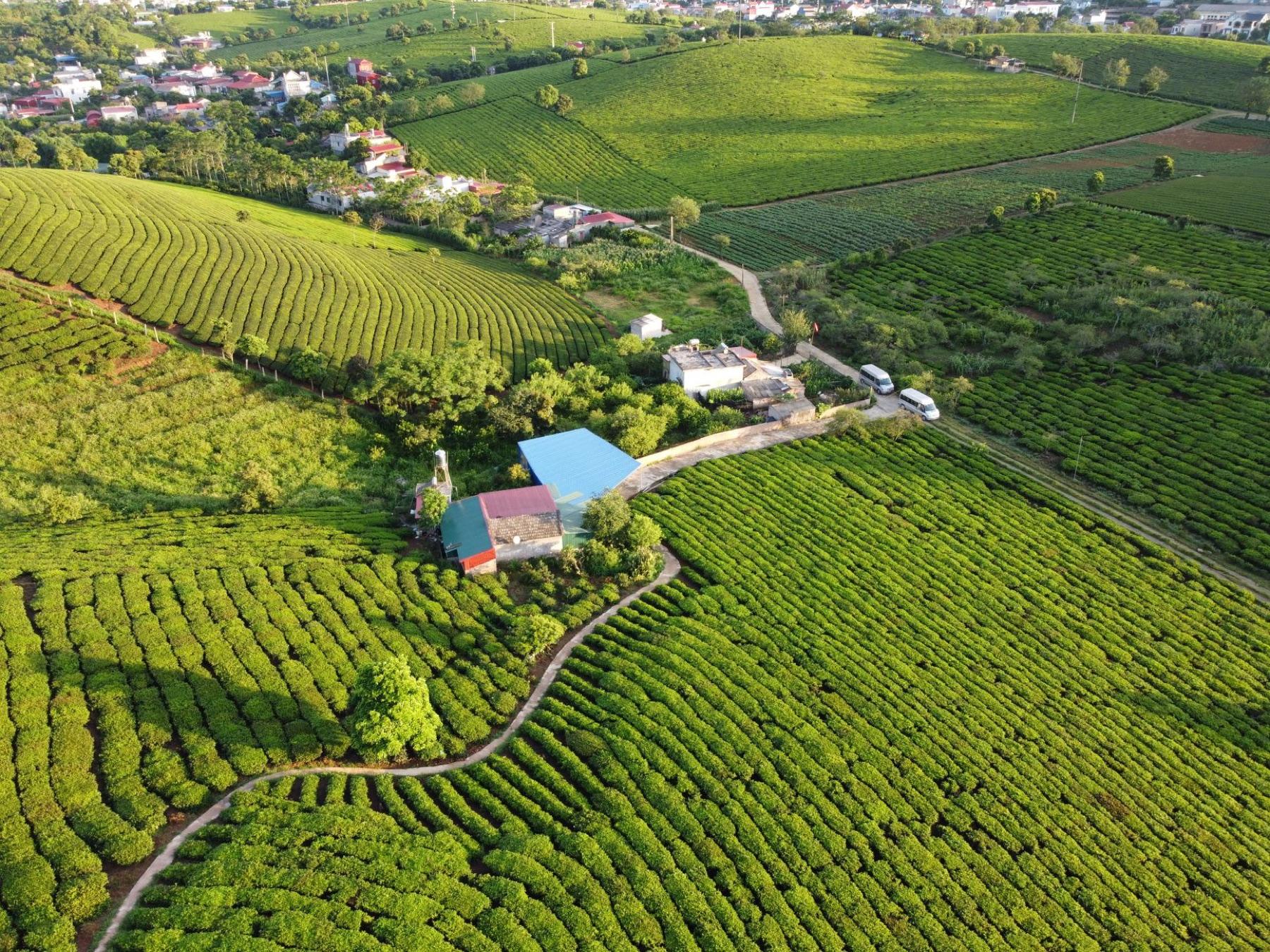Moc Chau — Where to stay