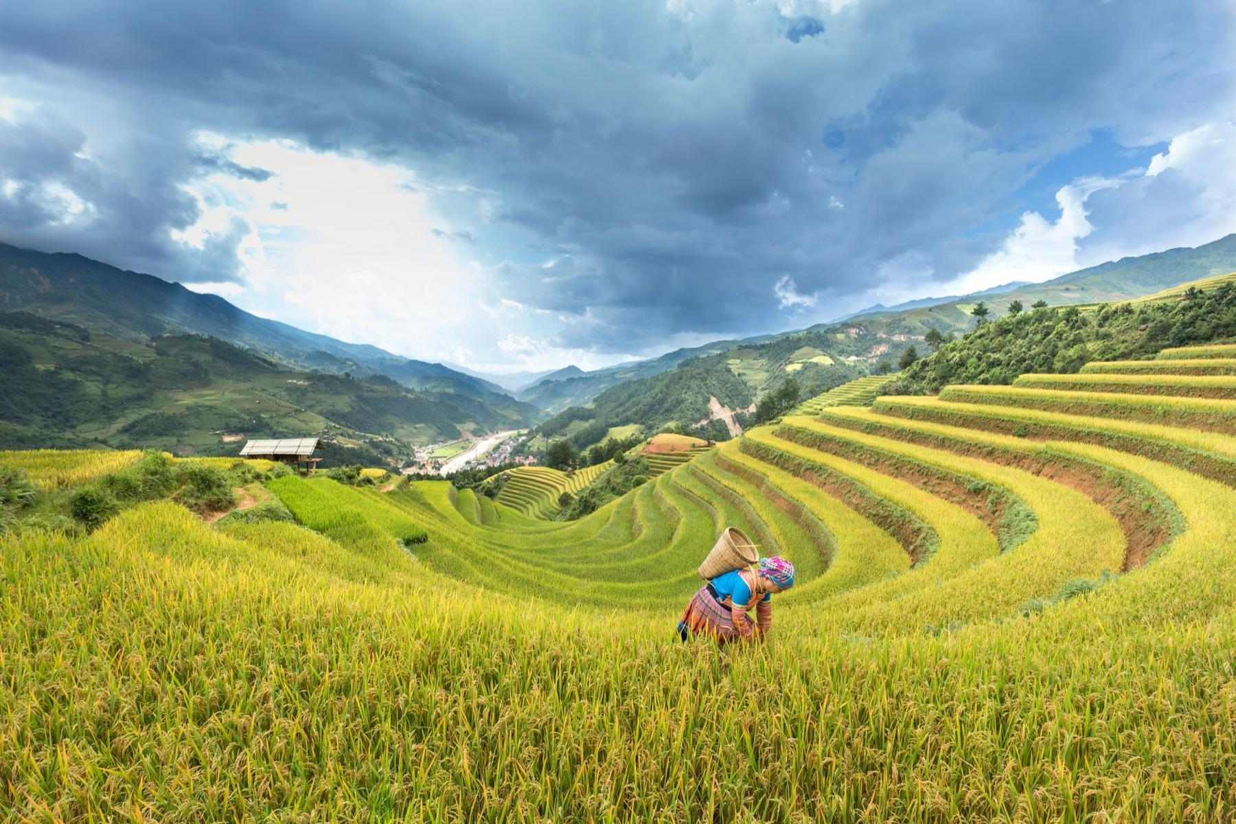 Mu Cang Chai — Getting there & around
