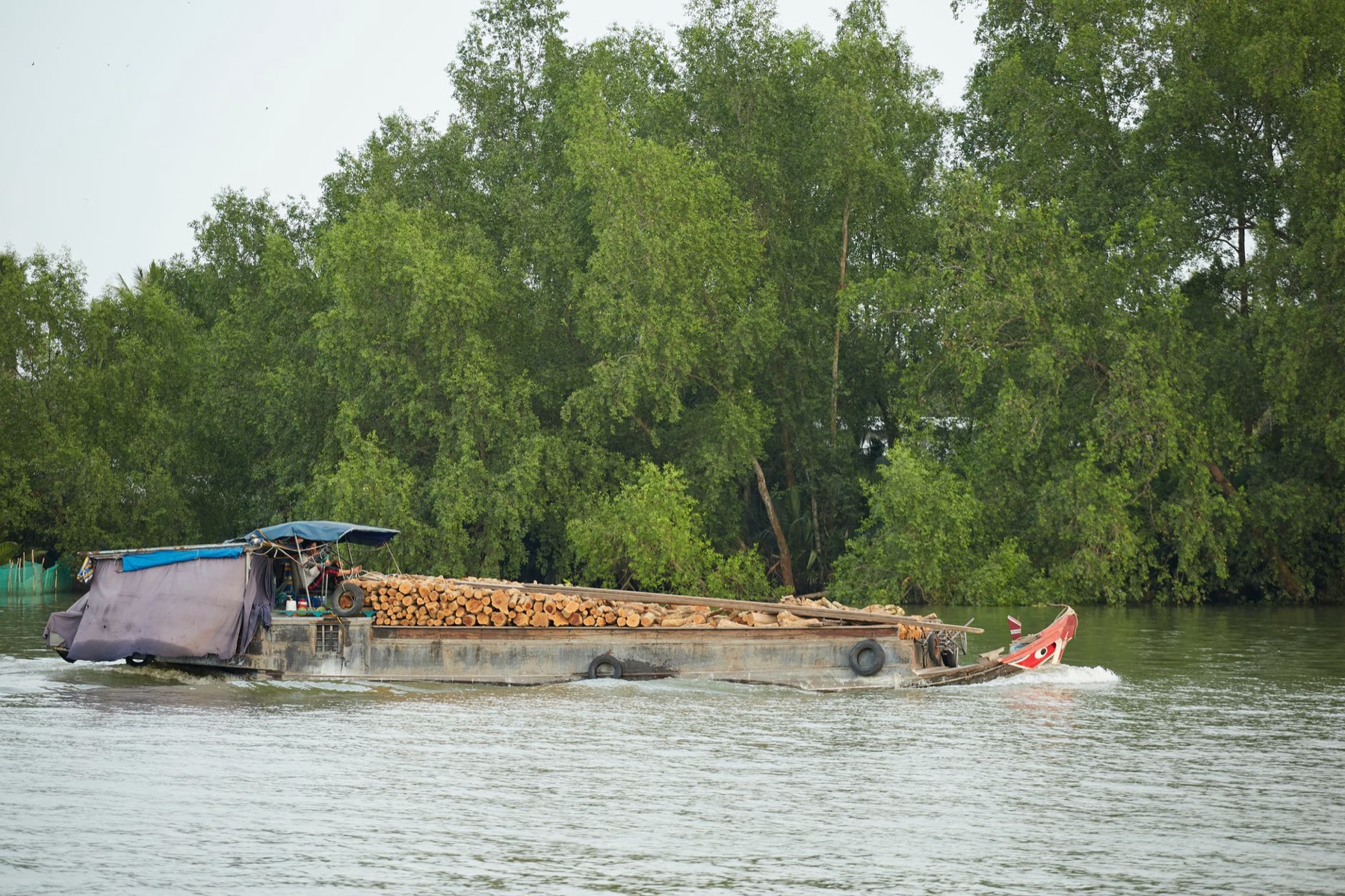 Can Tho Mekong — A barge loaded with timber navigates the lush waters of An Hoi, Vinh Long, Vietn