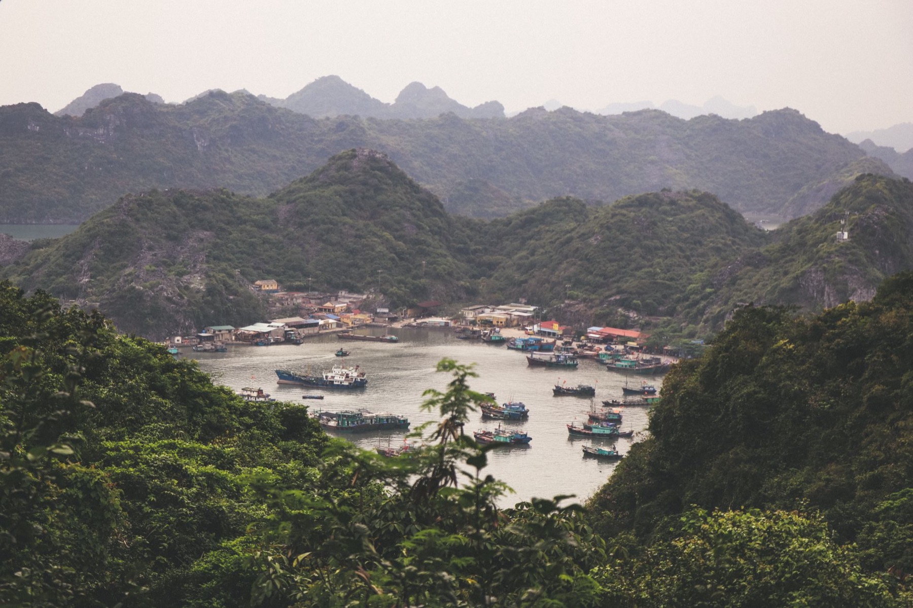 Cat Ba — A picturesque view of fishing boats nestled among lush green hills in Hai Phong,