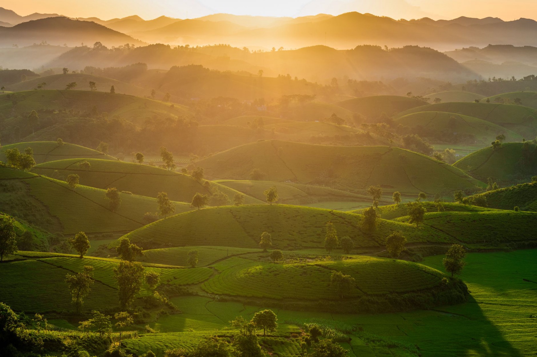 Dien Bien — Scenic sunrise view of lush green hills in Phú Thọ, Vietnam with warm sunlight.