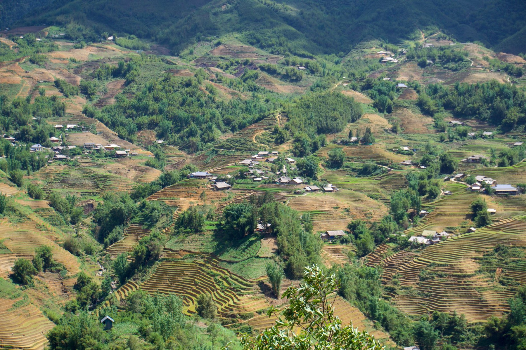 Dien Bien — Stunning aerial view of Sa Pa's terraced rice fields and rural landscape.