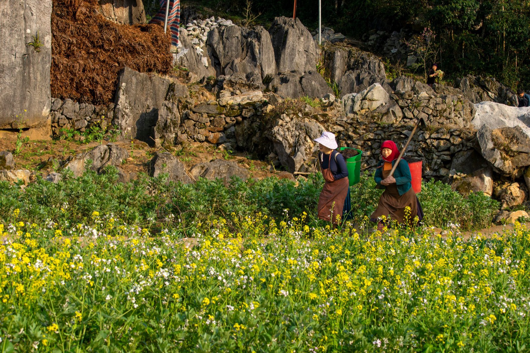 Ha Giang — Two farmers tending a field in Ha Giang, showcasing traditional rural life amids