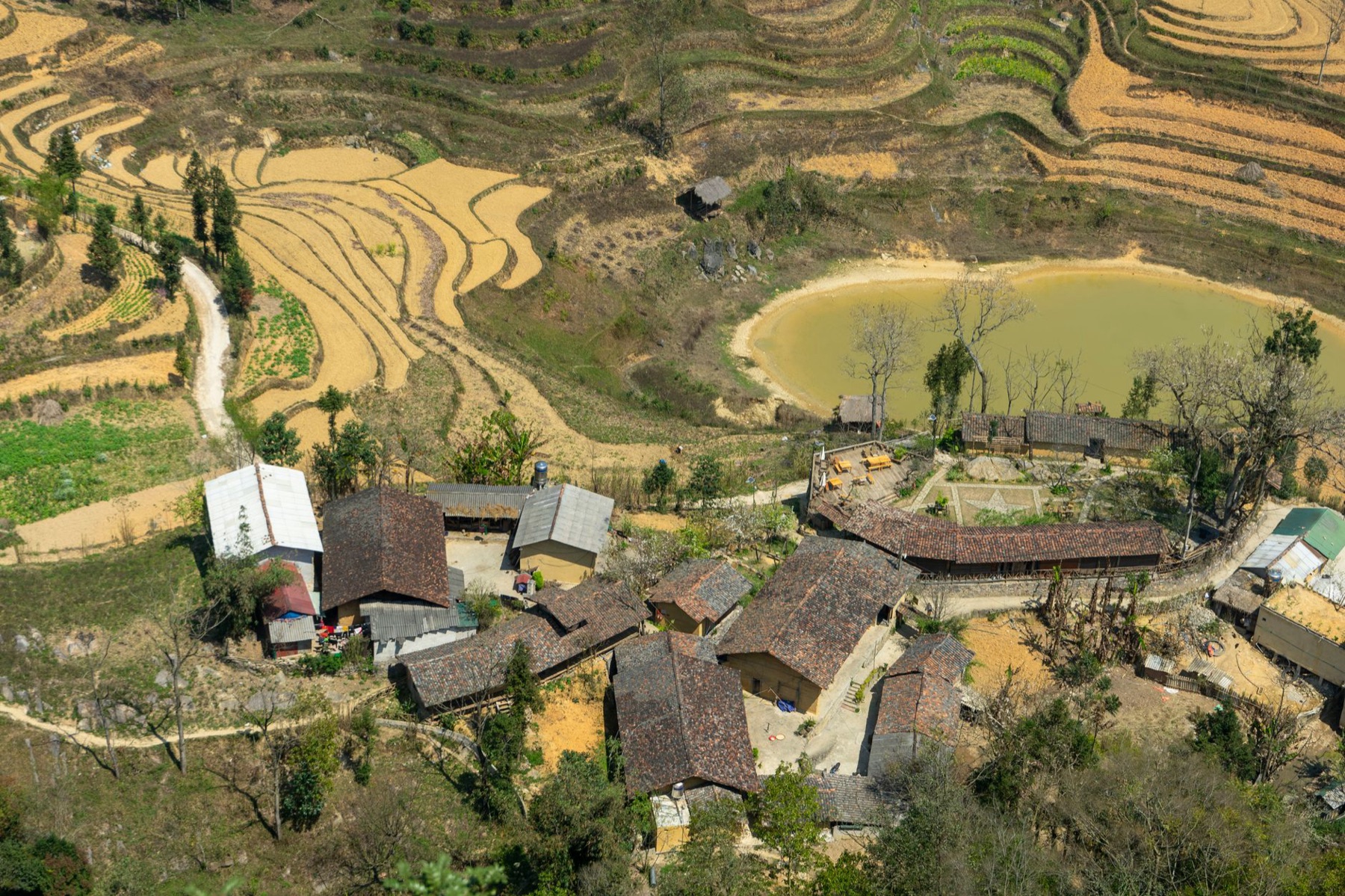 Ha Giang — Aerial view of a village surrounded by scenic rice terraces and a small pond, ca