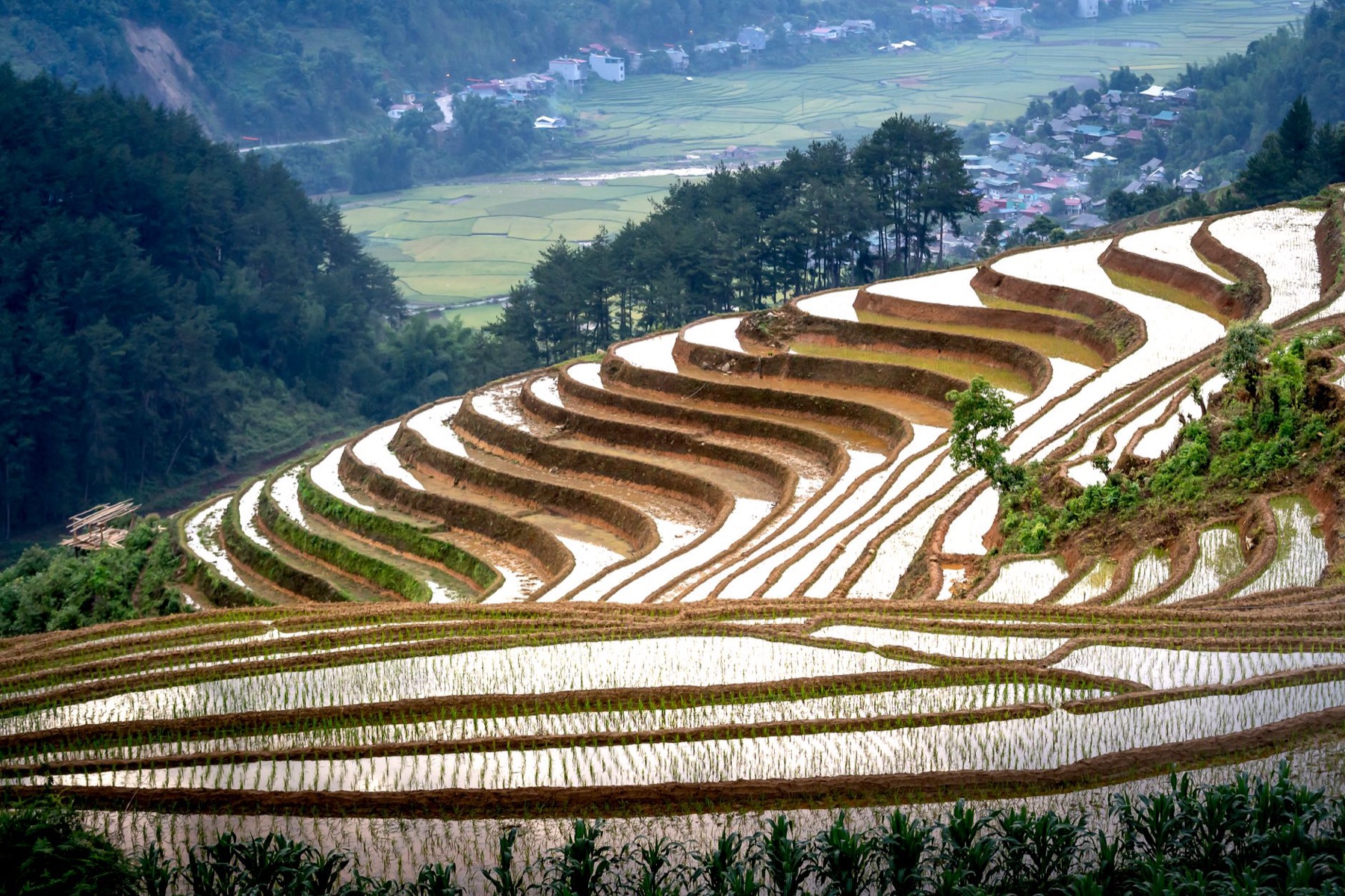 Mu Cang Chai — Spectacular scenery of rice paddy terraces ans small settlement located on mount