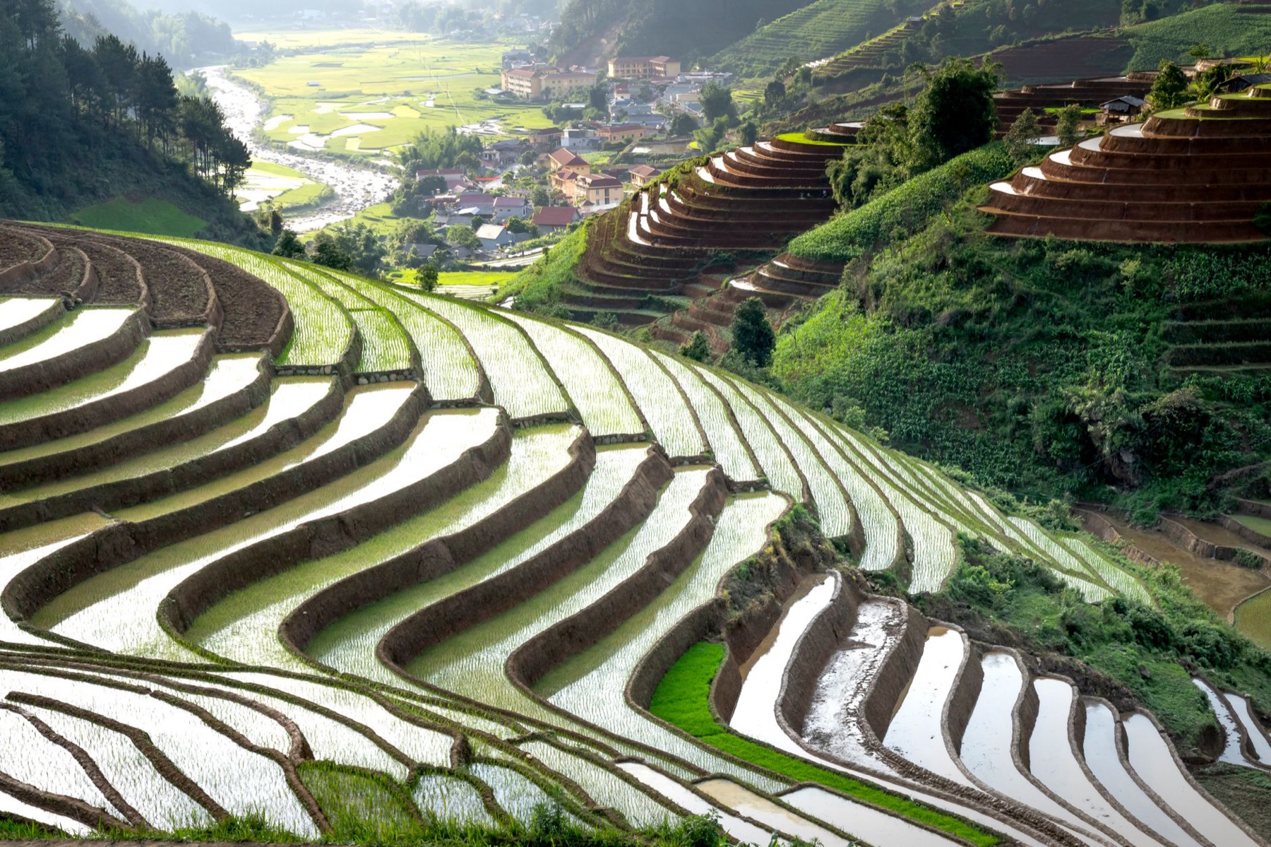 Mu Cang Chai — Scenic view of vibrant green rice terraces and village landscape under sunlight.