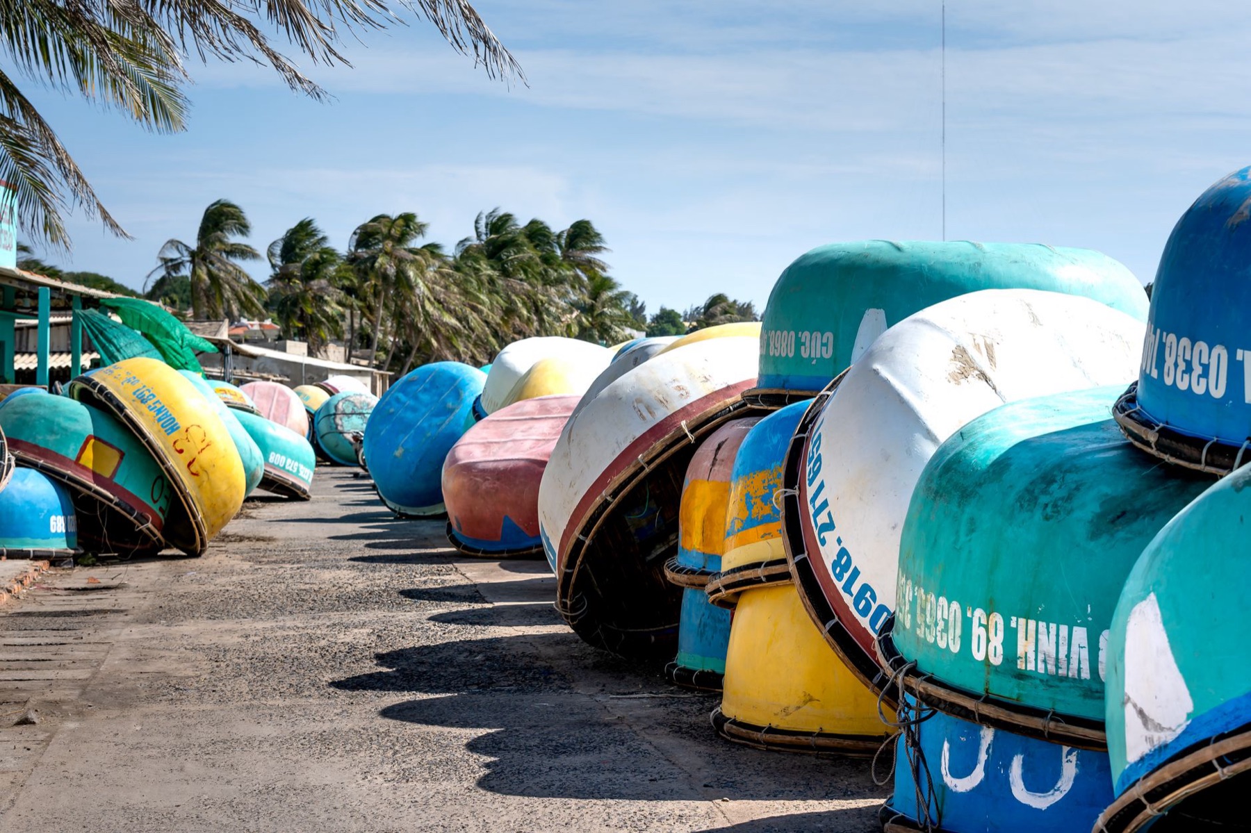 Mui Ne — Rows of vibrant round boats on a sunny tropical beach with palm trees swaying in