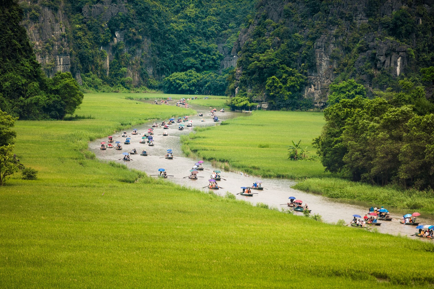 Ninh Binh — Crowd of people floating on river between grassy fields near green lush trees du