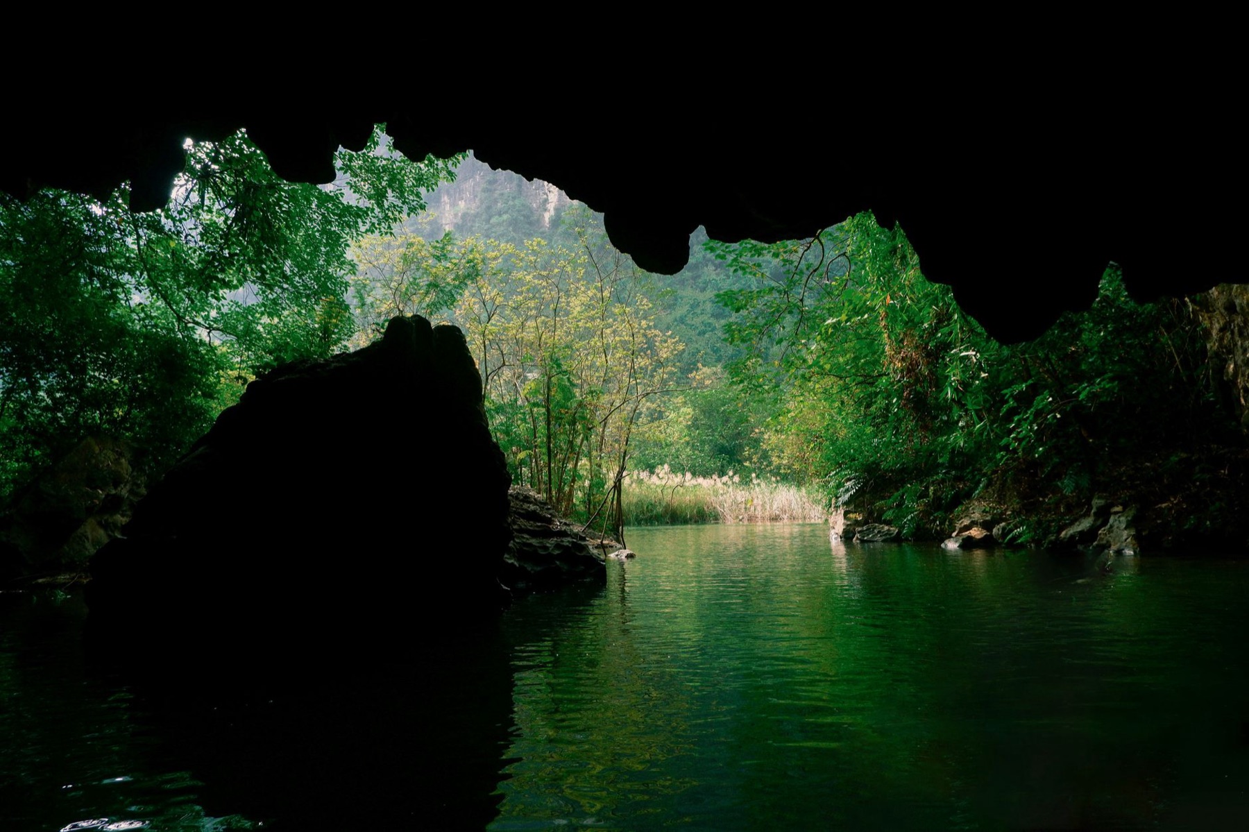 Phong Nha — Discover the serene beauty of a lush cave and reflective waters in Vietnam.