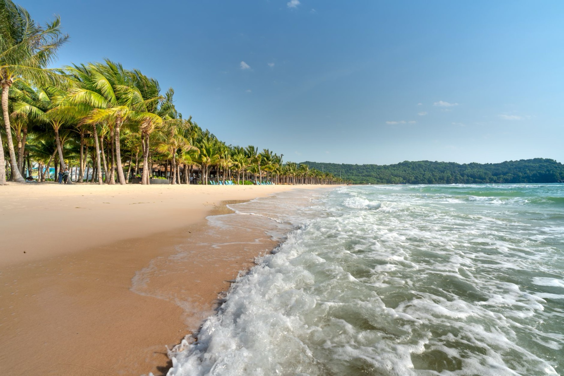 Phu Quoc — Lush tropical beach with palm trees and gentle ocean waves under a bright sky.
