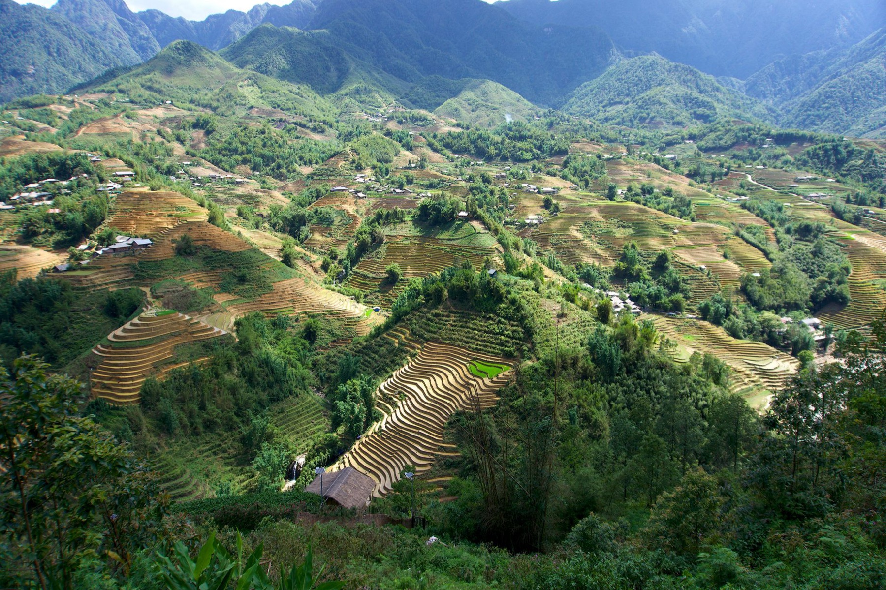 Sapa — A breathtaking view of rice terraces in Sa Pa, showcasing traditional farming in